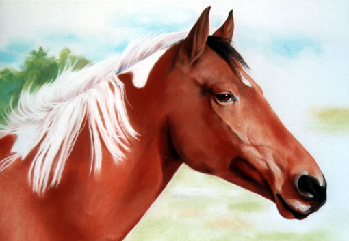 Bildnis eines Pferdes