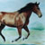 Bildnis eines Pferdes